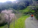 130220111179.jpg