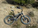 2011-02-12 13.00.45.jpg