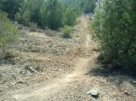 2011-02-12 12.59.55 - copia.jpg