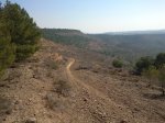 2011-02-12 12.59.25 - copia.jpg