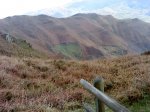 DSC03510.JPG