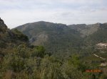 CIMG8629.jpg