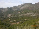 CIMG8628.jpg
