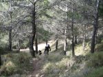 Imagen 026.jpg