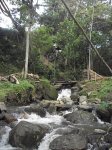 De mi hogar ....jpg