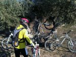 180074_166133513439243_100001277871268_414617_4698549_n[1].jpg