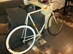 FIXIE3.JPG