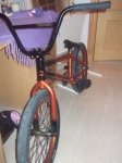 DSCF0927.JPG