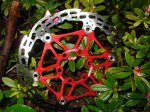 DSC07079_800x600.jpg