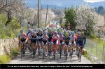 malle11st05-flowers.jpg