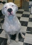 15-2-2011 11-38-02.jpg