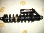 manitou swin.JPG