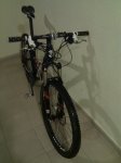 IMG_20110128_114407.jpg