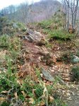 DSC00965.JPG
