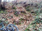 DSC00977.JPG