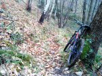 DSC00980.JPG