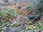 DSC00967.JPG