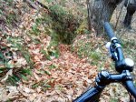 DSC00978.JPG