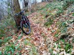 DSC00979.JPG