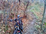 DSC00969.JPG