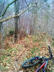 DSC00975.JPG