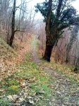 DSC00968.JPG