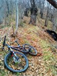 DSC00974.JPG