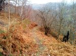 DSC00971.JPG