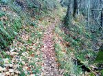 DSC00982.JPG