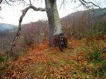 DSC00970.JPG