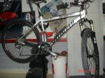 DSC00195.JPG