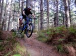 AM29er12.jpg