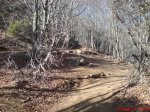 DSC06284.JPG