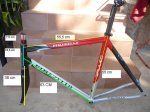 pinarello%20geometria.JPG