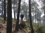 IMG_14.jpg