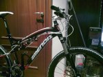 17022011768.jpg