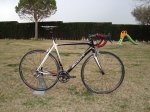 k-DSC05286.JPG