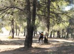 IMG_1315.jpg