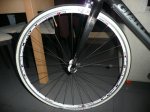GIANT8.JPG