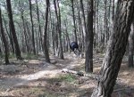 IMG_06.jpg