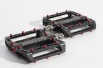 pedalesmagnesio1864-595x396.jpg