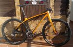 NINER 224.jpg
