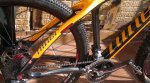 NINER 194.jpg