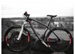 CBOO29RACEFRM_P2.jpg