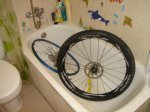 DSC08826.JPG