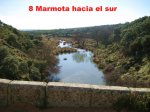 8 Marmota hacia el sur [800x600].jpg