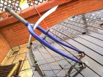 2011-02-19 12.30.20.jpg