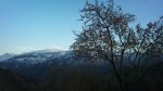 DSC00270-2.JPG