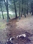 19022011633.jpg