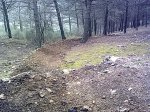 19022011636.jpg